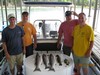 (06/27/2018) - Nice Striped Bass